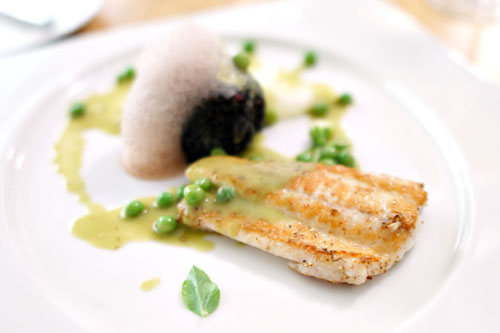 DOVER SOLE | THAI MANGO