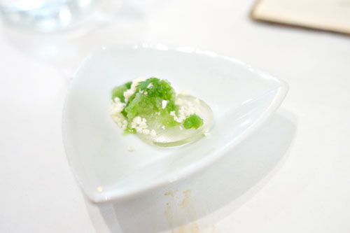 Vermouth Gelée with Herb Granite