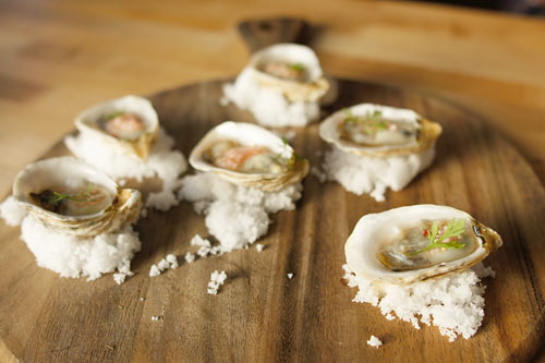 Kusshi Oysters