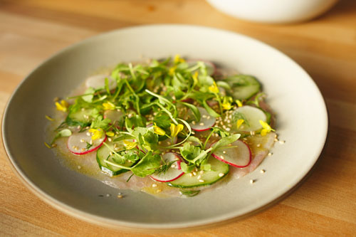 Amberjack Crudo