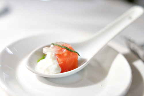 Tomato and Burrata