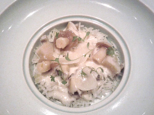 abalone blanquette