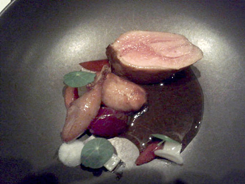 roast quail, turnip, cherry, nasturtium