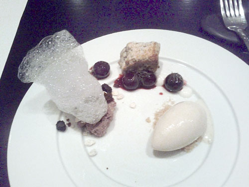 spice cake, blueberry, yogurt, oatmeal ice cream