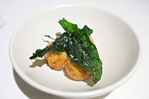 Garden beignets and crispy leaves