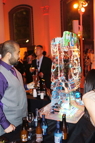 Ice Luge