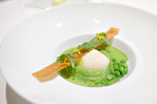 Poached Hen Egg