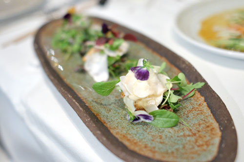 French Langoustine, Matsutake, Petite Green Salad