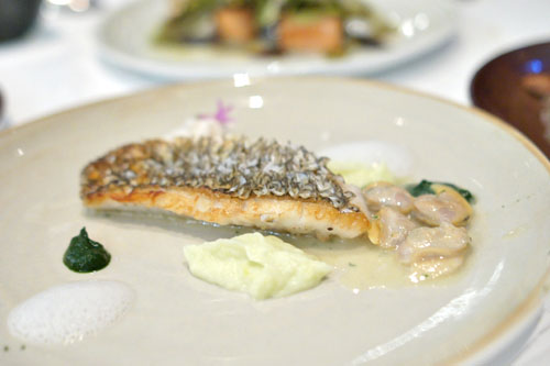 Black Sea Bass, Crisp Scale, Littleneck Clams, Leek Puree