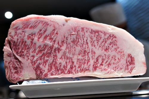 Wagyu Beef