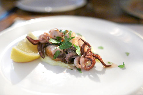 Grilled Monterey Squid