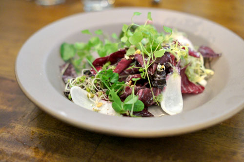 winter salad of shoots, leaves, and seeds; horseradish crème fraiche