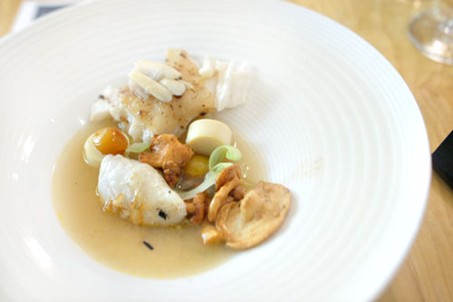 TURBOT | MUSHROOM