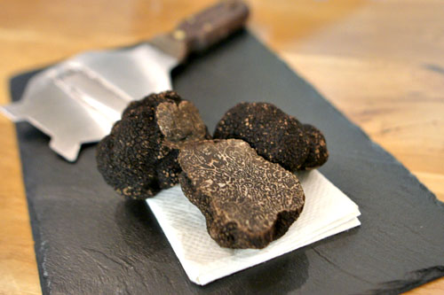 Périgord Truffles