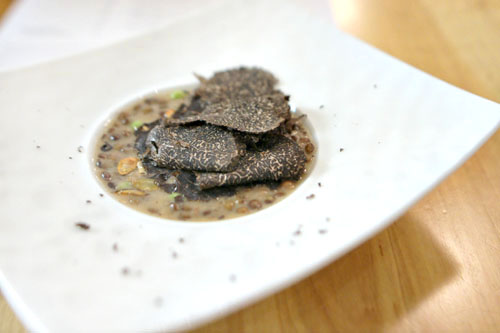 LENTILS | BLACK TRUFFLE