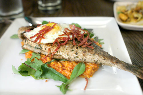 wood-grilled whole fish, tomato rice, fried egg & crispy sopressata