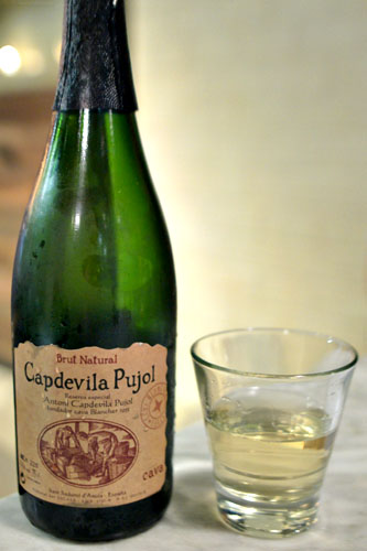 N/V Capdevila y Pujol Brut Nature