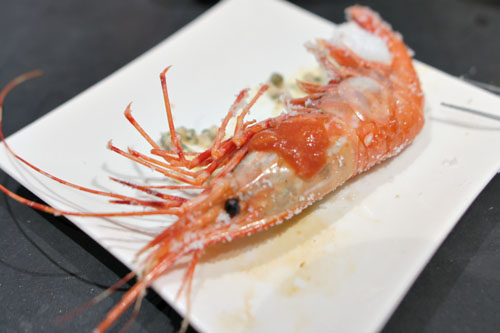 Spot Prawn