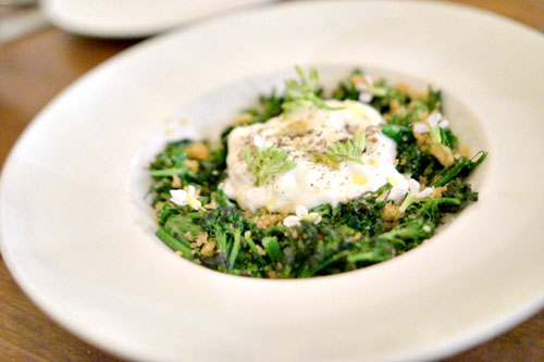 Stracciatella di burrata, sprouting broccoli, bottarga, lemon