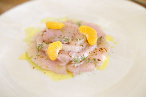 amberjack crudo