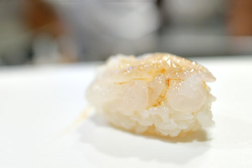 White Shrimp / Shiro Ebi