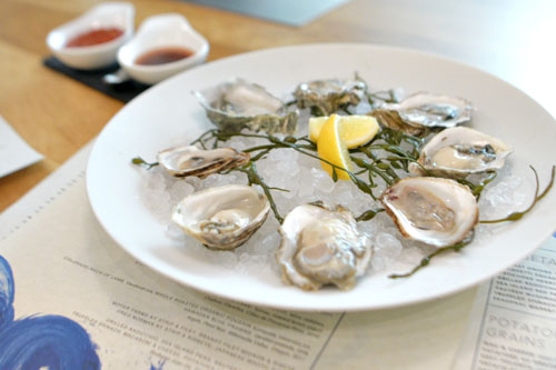 OYSTERS