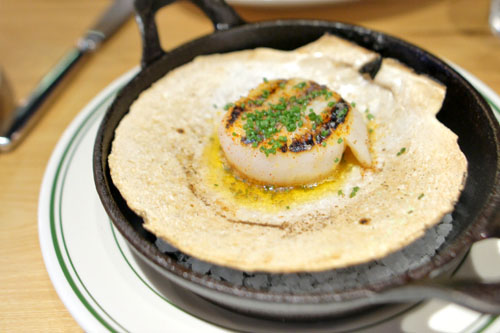 New Bedford Scallop