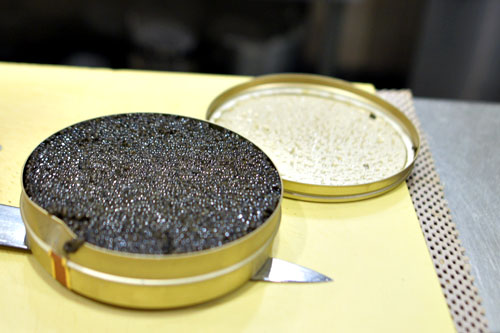 Ars Italica Caviar