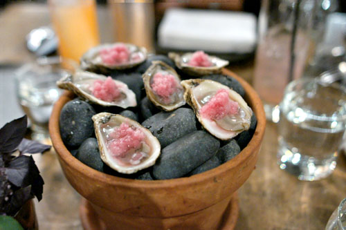 oysters