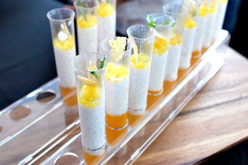 Coconut-Mango-Passion Fruit Squeeze Pop