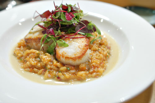 Scallop & Risotto