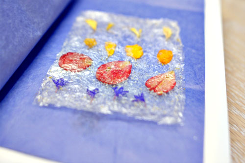 Pressed Flowers