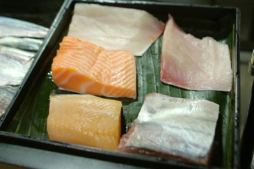 Yellowtail Family and Salmon Family Box