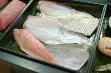 Snapper Box