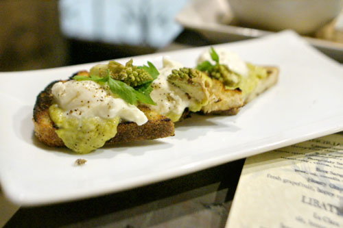 Fava Bean Toast