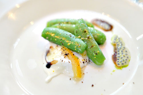 snap pea with burrata, meyer lemon, cucumber leaf