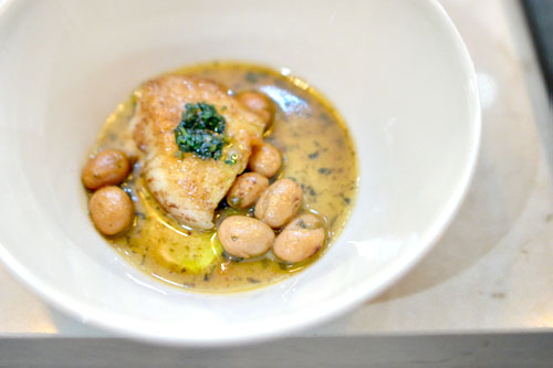 john dory with braised beans, salsa verde, yuzu kosho