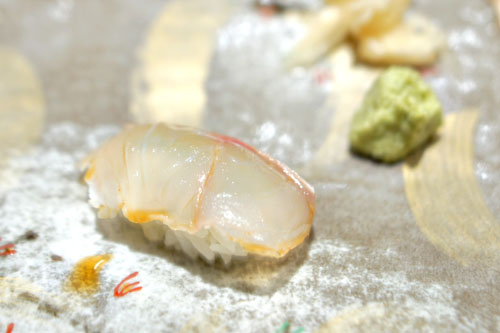 New Zealand Tai Snapper nigiri