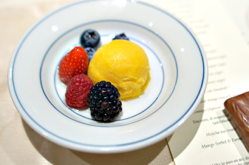 Mango Sorbet & Farmers market berries