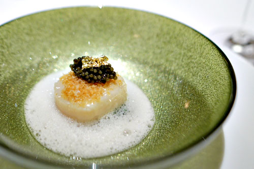 Sea Scallop