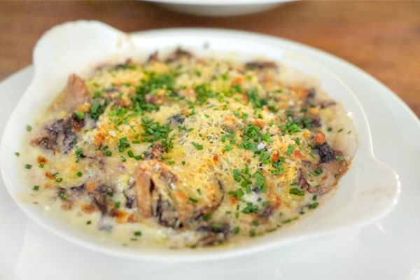 County Line Harvest Chicory Gratin