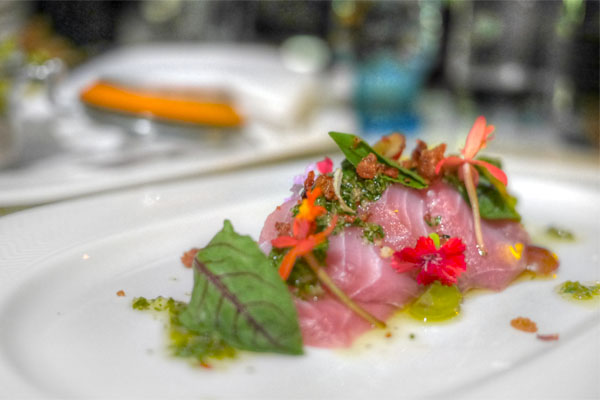 Hamachi & Duck Crackl'n Crudo