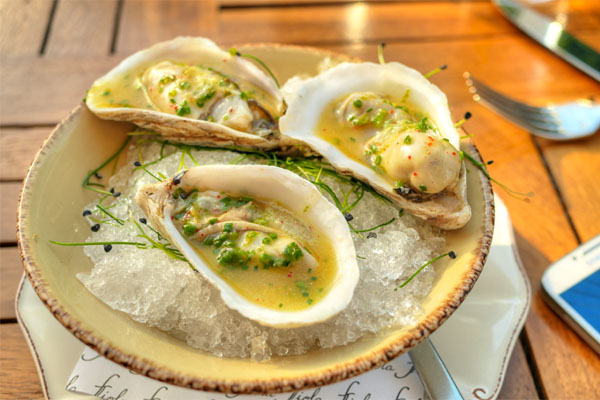 Stellar Bay Oysters