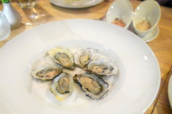 Morro Bay Pacific Gold Oysters