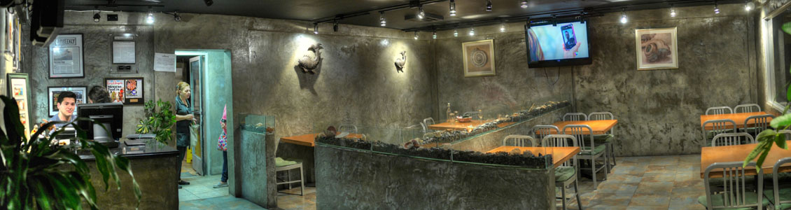 Coni'Seafood Interior