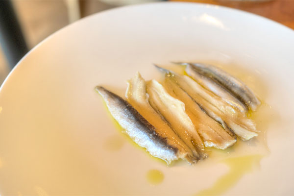 White Anchovy