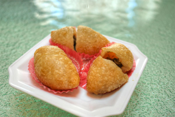 Deep Fried Pork Dumpling