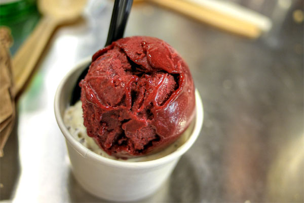 Blackberry & Bearss Lime Sorbet / Toasted Coconut Almond Chip