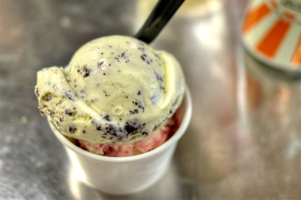 Mint Chip / Eureka Lemon & Marionberries