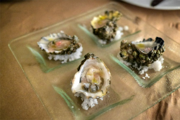 Kumamoto Oysters